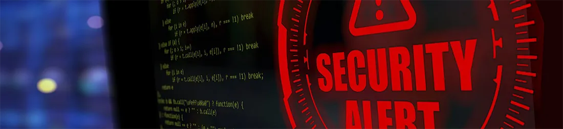 Imagen de encabezado de seguridad